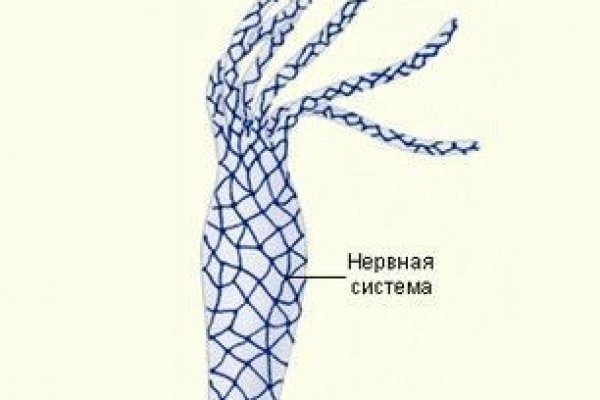 Ссылки на даркнет сайты