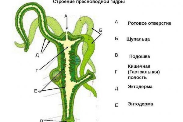 Кракен сайт официальный kraken014 com