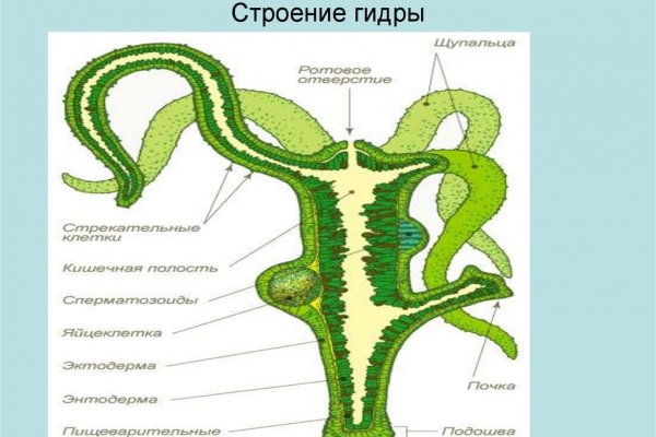 Кракен даркнет ссылка на сайт